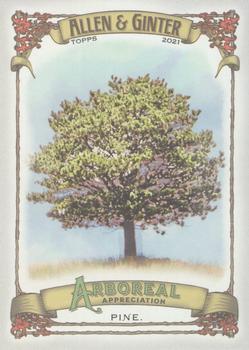 2021 Topps Allen & Ginter - Arboreal Appreciation #AA-12 Pine Front