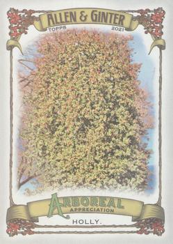 2021 Topps Allen & Ginter - Arboreal Appreciation #AA-13 Holly Front
