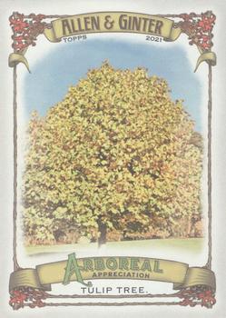 2021 Topps Allen & Ginter - Arboreal Appreciation #AA-14 Tulip Tree Front