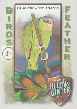 2021 Topps Allen & Ginter - Birds of a Feather #BOF-5 Lilac-Crowned Amazon Front