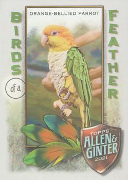 2021 Topps Allen & Ginter - Birds of a Feather #BOF-9 Orange-Bellied Parrot Front