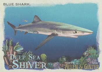 2021 Topps Allen & Ginter - Deep Sea Shiver #DSS-5 Blue Shark Front