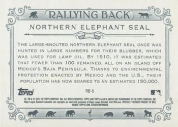 2021 Topps Allen & Ginter - Rallying Back #RB-5 Northern Elephant Seal Back