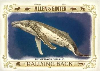 2021 Topps Allen & Ginter - Rallying Back #RB-6 Humpback Whale Front