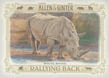 2021 Topps Allen & Ginter - Rallying Back #RB-7 White Rhino Front