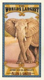 2021 Topps Allen & Ginter - World’s Largest Minis #MWL-5 African Elephant Front
