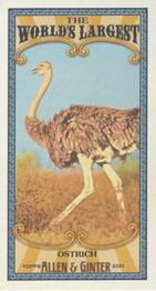2021 Topps Allen & Ginter - World’s Largest Minis #MWL-21 Ostrich Front
