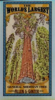 2021 Topps Allen & Ginter Chrome - Mini World’s Largest #MWL-4 General Sherman Tree Front