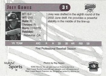 2002 MultiAd Valvoline/ESPN Radio Hudson Valley Renegades (SGA) #19 Joey Gomes Back