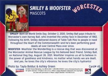 2022 Choice Worcester Red Sox #45 Smiley & Woofster Back