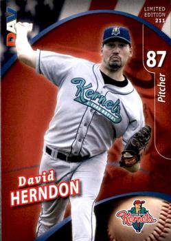 2009 DAV Minor League #211 David Herndon Front