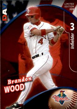 2009 DAV Minor League #235 Brandon Wood Front