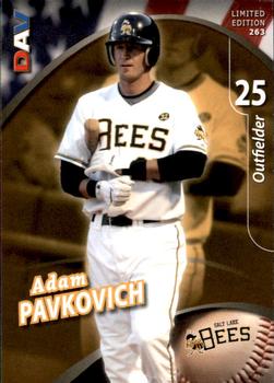 2009 DAV Minor League #263 Adam Pavkovich Front