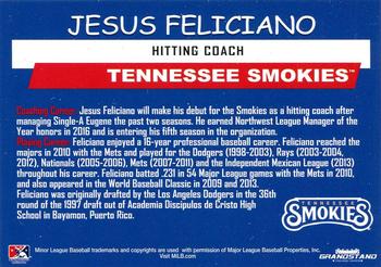 2018 Grandstand Tennessee Smokies #NNO Jesus Feliciano Back