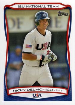2010 Topps USA Baseball #USA-3 Nicky Delmonico  Front