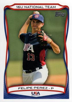 2010 Topps USA Baseball #USA-60 Felipe Perez  Front
