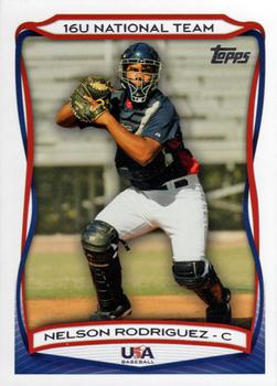 2010 Topps USA Baseball #USA-61 Nelson Rodriguez  Front