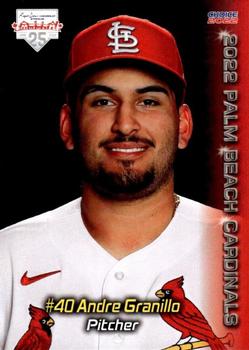 2022 Choice Palm Beach Cardinals #05 Andre Granillo Front