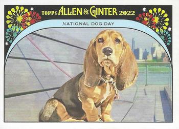 2022 Topps Allen & Ginter - It's Your Special Day! #IYSD-6 National Dog Day Front