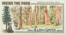 2022 Topps Allen & Ginter - Mini Inside the Park #ITP-16 Sequoia National Park Front