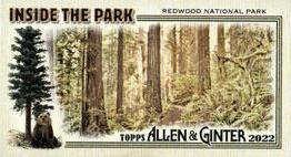 2022 Topps Allen & Ginter - Mini Inside the Park #ITP-19 Redwood National Park Front