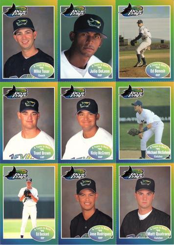 1996 Tampa Bay Devil Rays A Team is Born - Panels #NNO Mike Tosar / Julio DeLeon / Ed Benesh / Trent Brown / Ricky McCreery / Micheal McGehee / Ed Deckard / Jose Rodriguez / Matt Quatraro Front