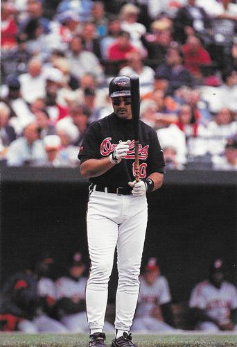 1993 Baltimore Orioles Photocards #NNO Leo Gomez Front