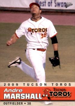 2009 MultiAd Tucson Toros #14 Andre Marshall Front