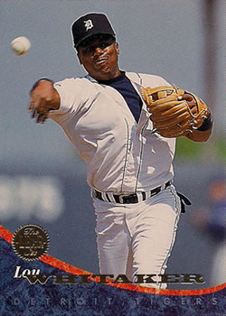 1994 Leaf #80 Lou Whitaker Front