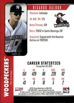 2023 Choice Fayetteville Woodpeckers #05 Ricardo Balogh Back
