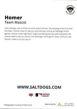 2023 Lincoln Saltdogs #NNO Homer Back