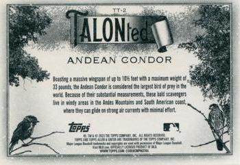 2023 Topps Allen & Ginter - Talonted #TT-2 Andean Condor Back