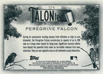 2023 Topps Allen & Ginter - Talonted #TT-3 Peregrine Falcon Back