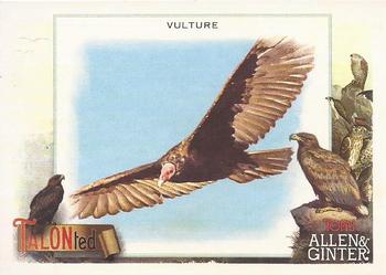 2023 Topps Allen & Ginter - Talonted #TT-4 Vulture Front