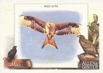 2023 Topps Allen & Ginter - Talonted #TT-14 Red Kite Front