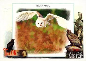 2023 Topps Allen & Ginter - Talonted #TT-16 Barn Owl Front