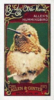 2023 Topps Allen & Ginter - By Any Other Name Mini #BAN-14 Allen's Hummingbird Front