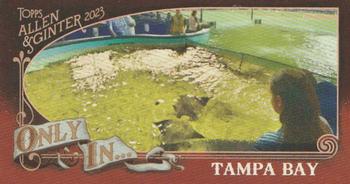 2023 Topps Allen & Ginter - Only In… Mini #OI-27 Touchtank in the Outfield Front