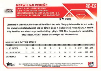 2023 Topps Pro Debut - Chrome #PDC-132 Nerwilian Cedeño Back