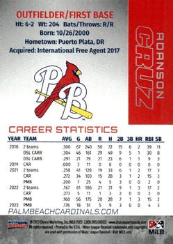 2023 Choice Palm Beach Cardinals #NNO Adanson Cruz Back