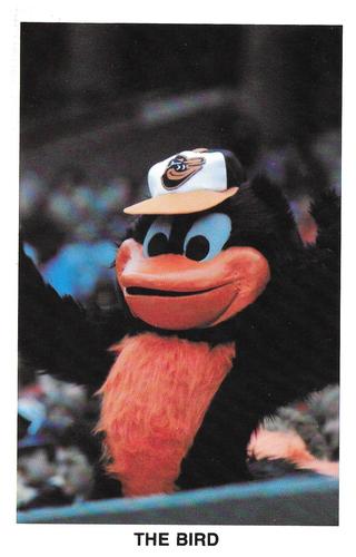 1984 Baltimore Orioles Postcards #NNO The Bird Front