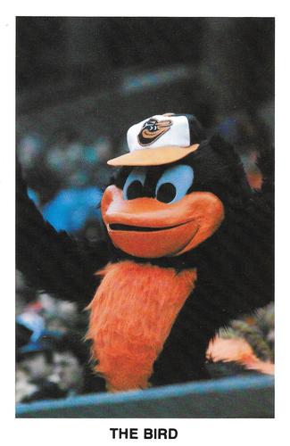 1984 Baltimore Orioles Postcards #NNO The Bird Front