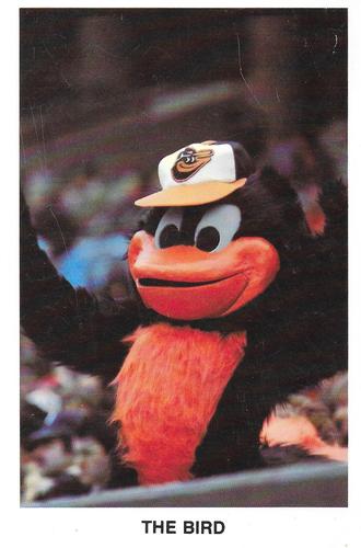 1981 Baltimore Orioles Postcards #NNO The Bird Front