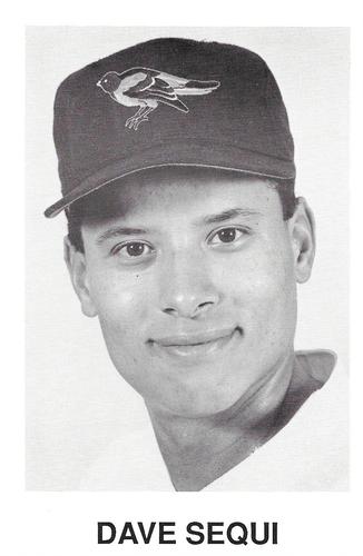 1990 Baltimore Orioles Photocards #NNO Dave Segui Front