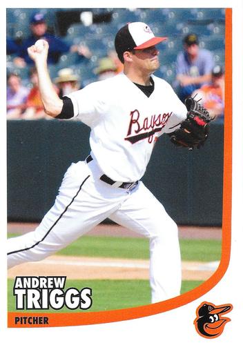 2015 Baltimore Orioles Photocards #NNO Andrew Triggs Front