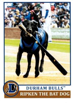 2023 Choice Durham Bulls #41 Ripken The Bat Dog Front