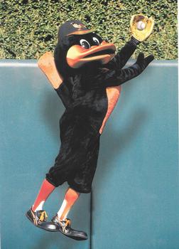 2002 Baltimore Orioles Photocards #NNO The Bird Front