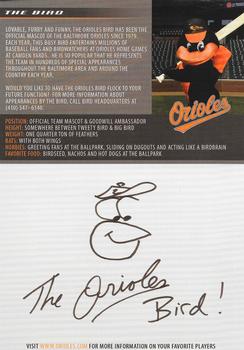 2007 Baltimore Orioles Photocards #NNO The Bird Back