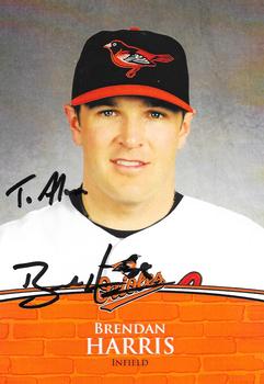 2011 Baltimore Orioles Photocards #NNO Brendan Harris Front