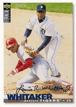 1995 Collector's Choice - Gold Signature #475 Lou Whitaker Front